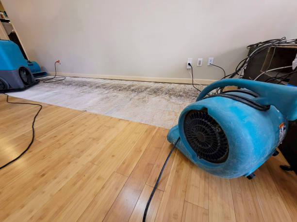 Professional Basement Flood Cleanup technician working in Rosamond, CA